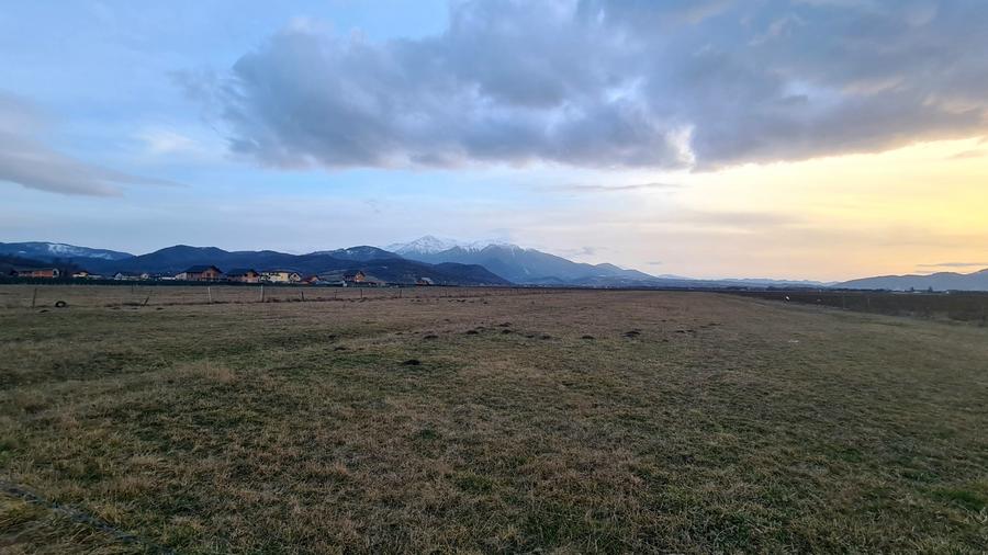 Teren Construcții intravilan de 1049 mp, în Pănicel