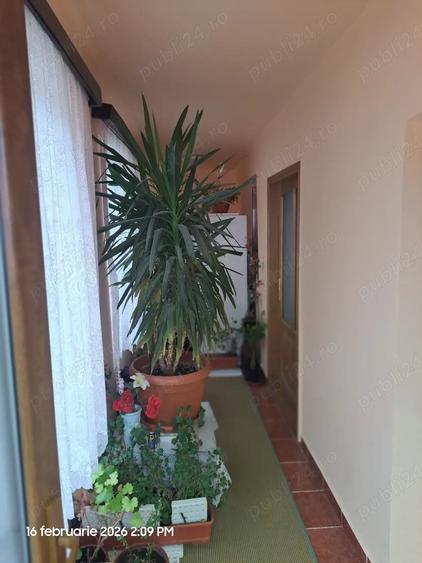 Casă cu 3 camere cu Teren 600 Mp în Vladimirescu