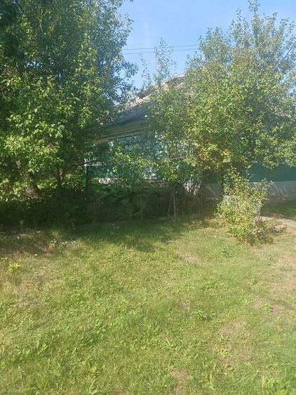 Casă cu Teren 2200 Mp în Central