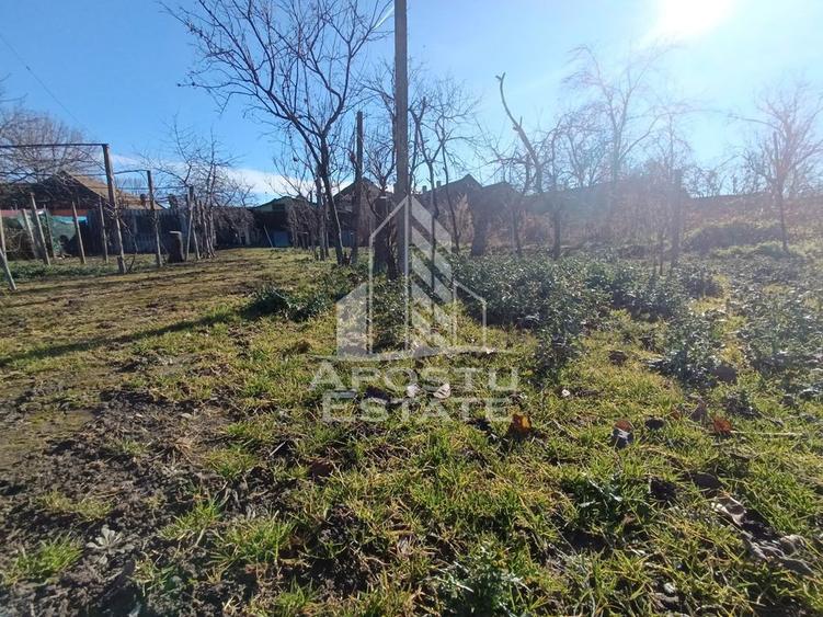 Casa individuala cu teren generos 2158mp, front 12m, liva... - 5