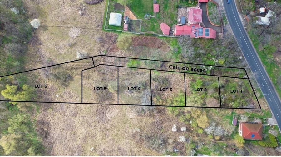 Teren agricol intravilan de 5006 mp, în Bucium
