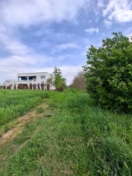 Teren Construcții intravilan de 3500 mp, în Periș