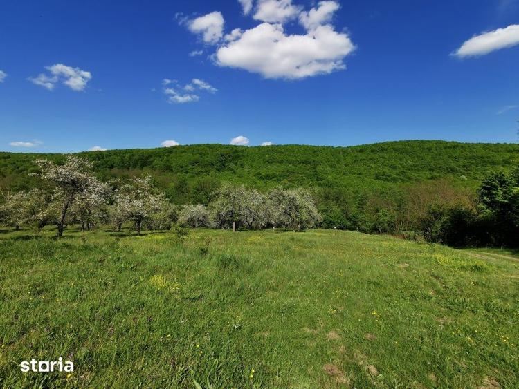 Teren de 680 mp, în Budeasa