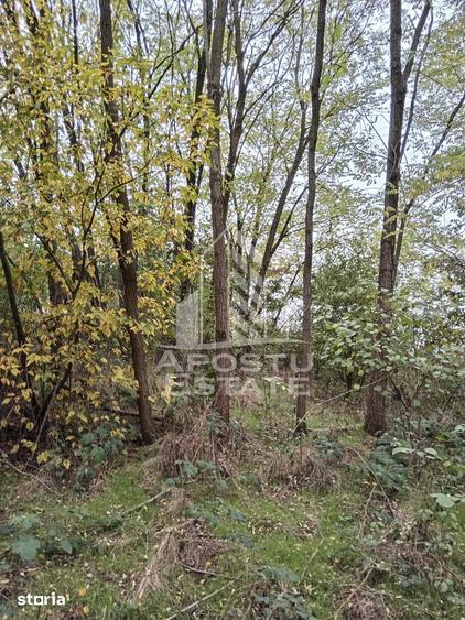 Teren de 3260 mp, în Buteni