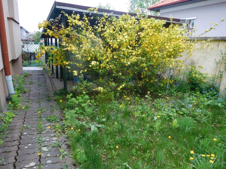 Casă cu 5 camere cu Canalizare în Andrei Mureșanu