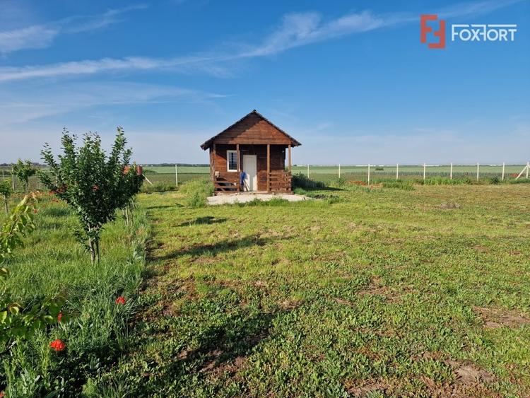 Teren agricol extravilan de 3500 mp, în Remetea Mare