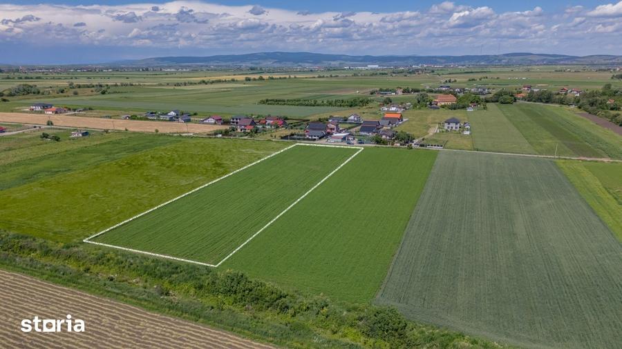 Teren de 9300 mp, în Stupini