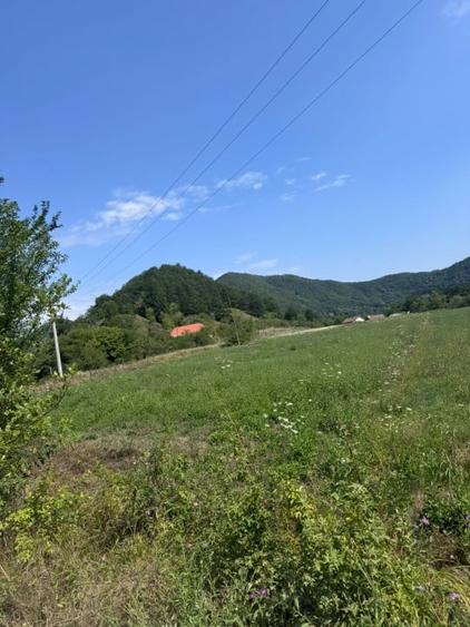 Teren agricol intravilan de 3600 mp, în Șopotu Nou