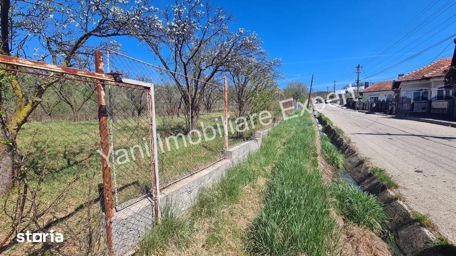 Teren de 3851 mp, în Curtea de Argeș