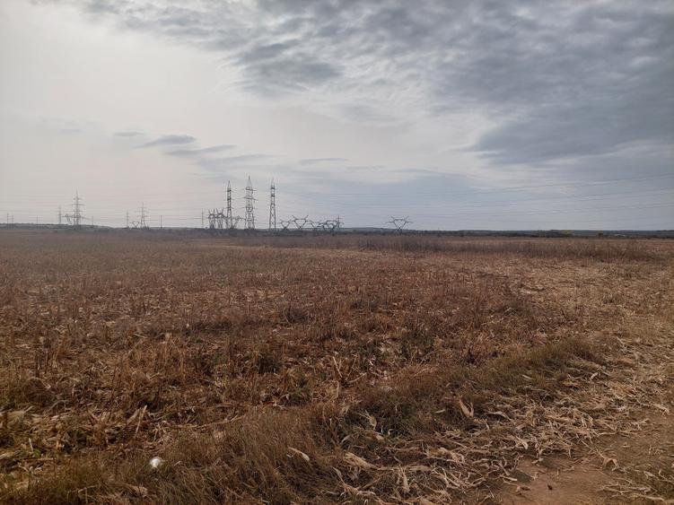 Teren Construcții intravilan de 9844 mp, în Dumbrava