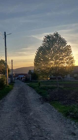 Teren de 4282 mp, în Târgu Trotuș