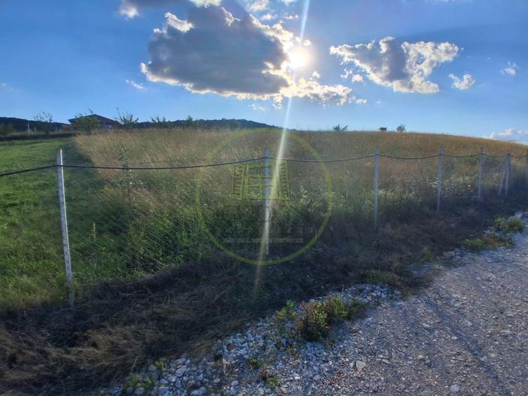 Teren Construcții intravilan de 700 mp, în Popești
