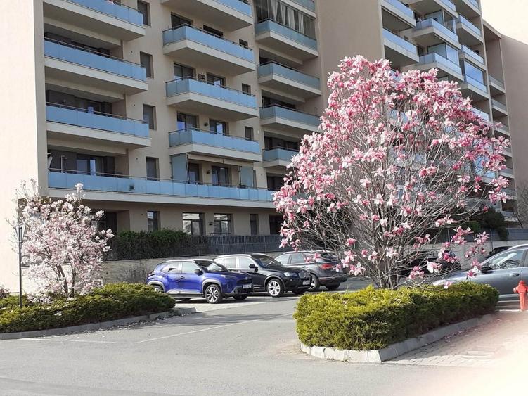 Apartament cu 2 camere decomandat în Aviației