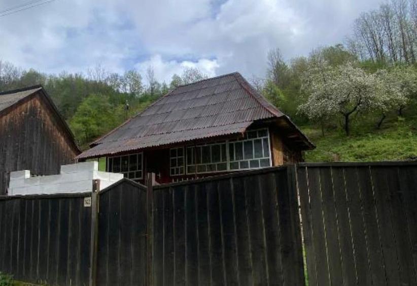 Casa si teren Loc. Lup?a, , Jud. Alba id: R2083150 - 1