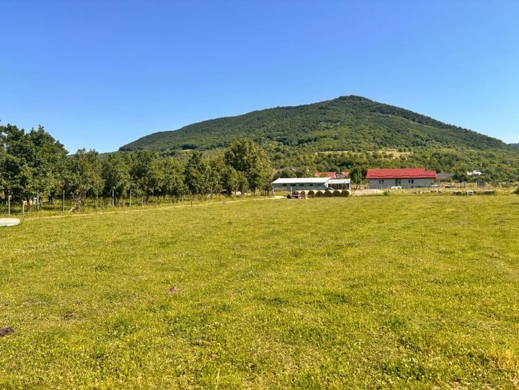 Teren Construcții intravilan de 700 mp, în Sud