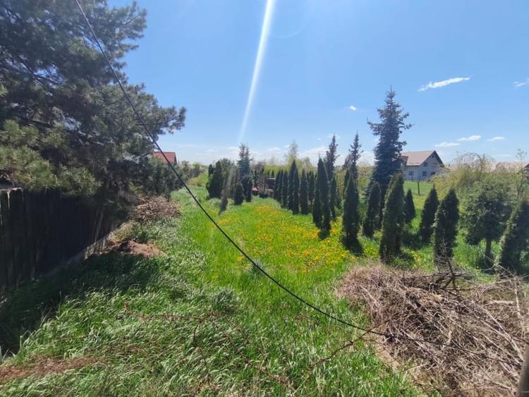 Teren Construcții intravilan de 4600 mp, în Est