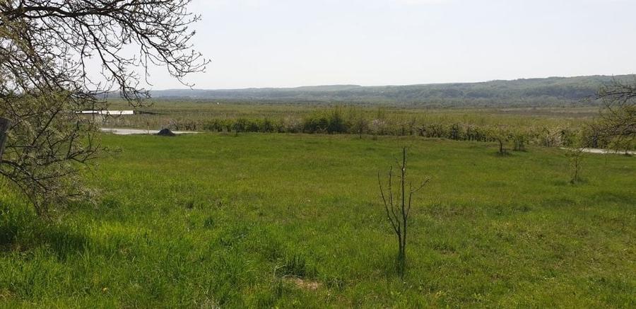Teren de 2298 mp, în Izvoarele