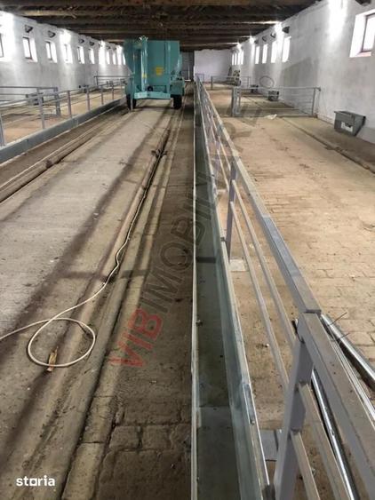 Ferma complet utilata 30 ha teren comasat Timi? Comuna Biled - 16