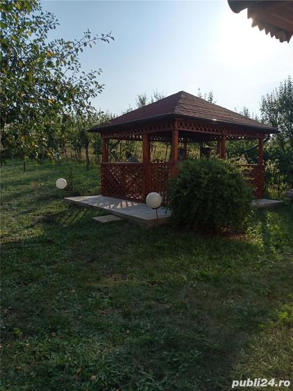 Teren de 11600 mp, în Câmpenești