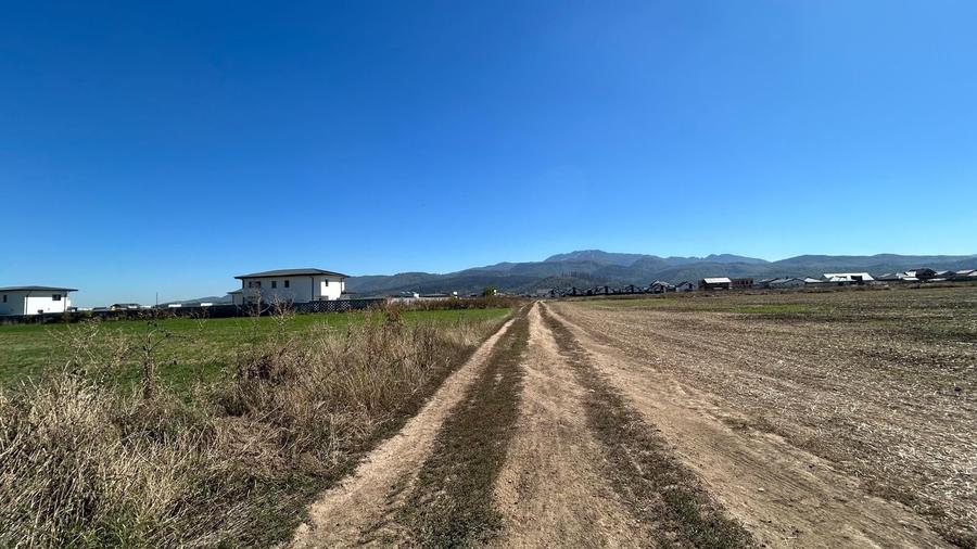 Teren Construcții intravilan de 598 mp, în Cristian