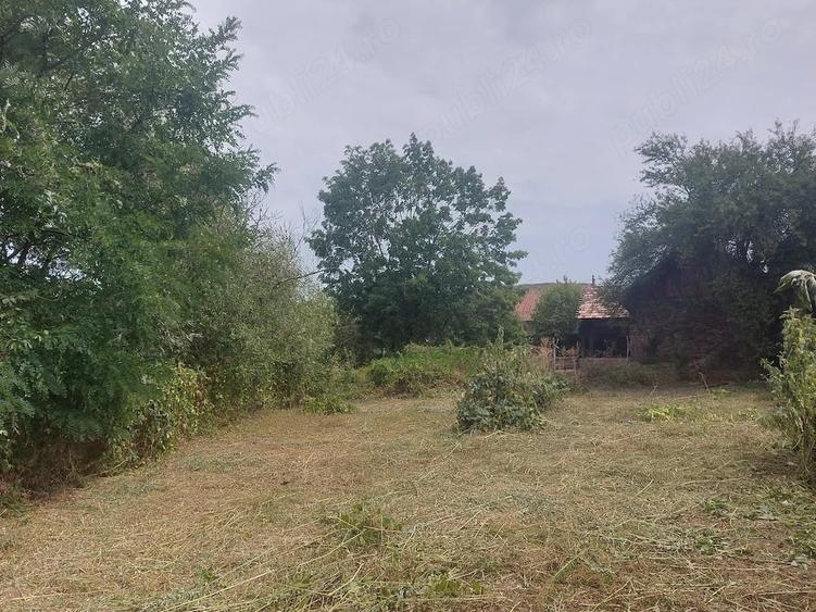 Casă cu 3 camere cu Teren 1200 Mp în Goruia