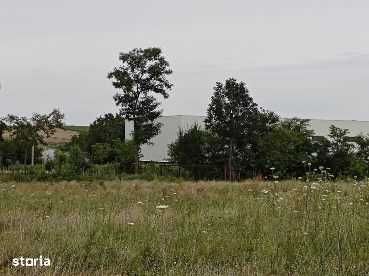 Teren de 580 mp, în Horlești