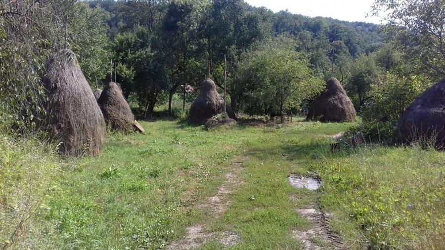 Teren de 3000 mp, în Căpruța
