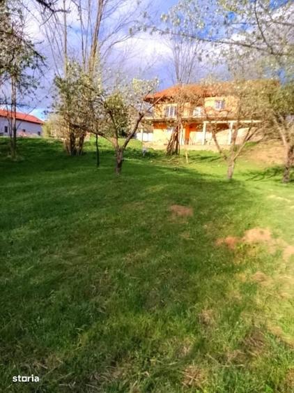Gospodarie, casa cu 5 camere si 8272 mp teren, in Oarda - 4