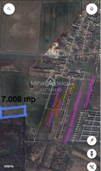 Vanzare teren 7.000 mp Buftea, zona Tamasi | langa padure