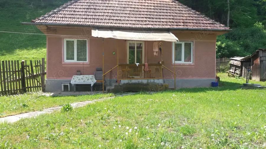 Casă cu 3 camere cu Teren 3200 Mp în Mihăileni