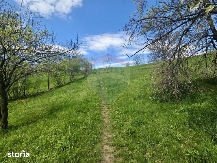 Teren de 4733 mp, în Drajna