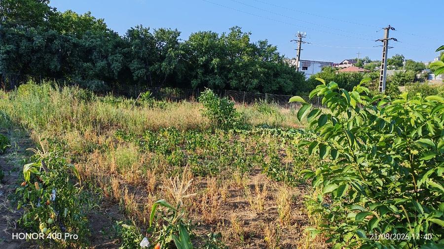 Teren agricol intravilan de 2100 mp, în Nord-Est