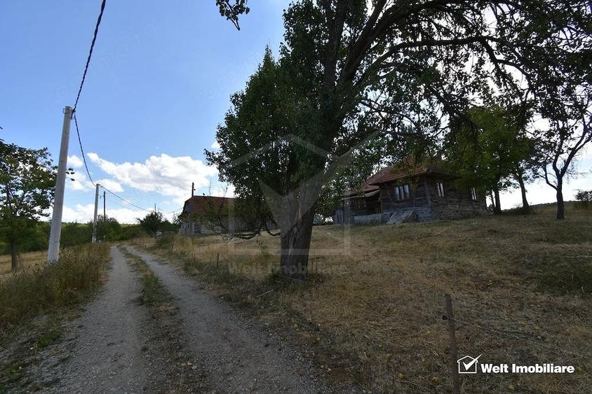 Casă cu 3 camere cu Teren 11200 Mp în Vânători