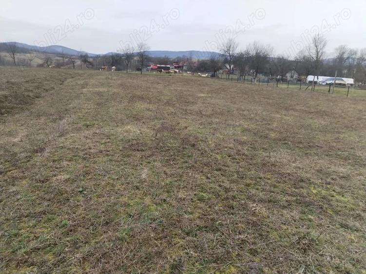 Teren de 3000 mp, în Vața de Jos