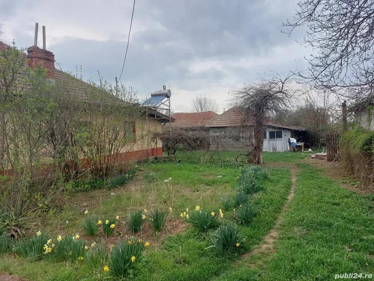 Teren de 7400 mp, în Fierbinți-Târg