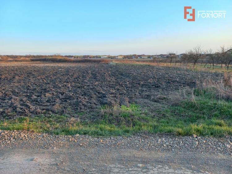 Teren Construcții extravilan de 7826 mp, în Ghiroda