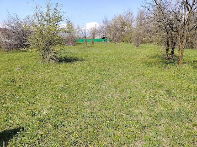 Teren de 1400 mp, în Bănești