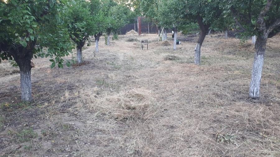 Teren în Ogrăzile