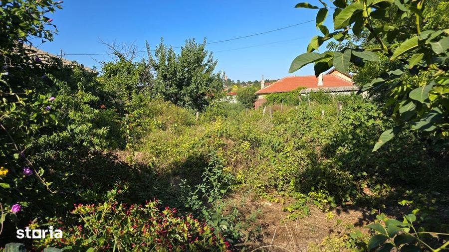vand casa traditionala dobrogeana cu teren de 1000mp in Tuzla - 13
