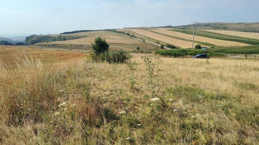 Teren de 5000 mp, în Tureni