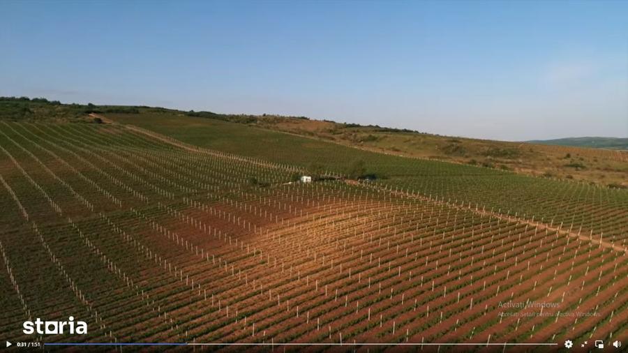 Teren de 153900 mp, în Boldești