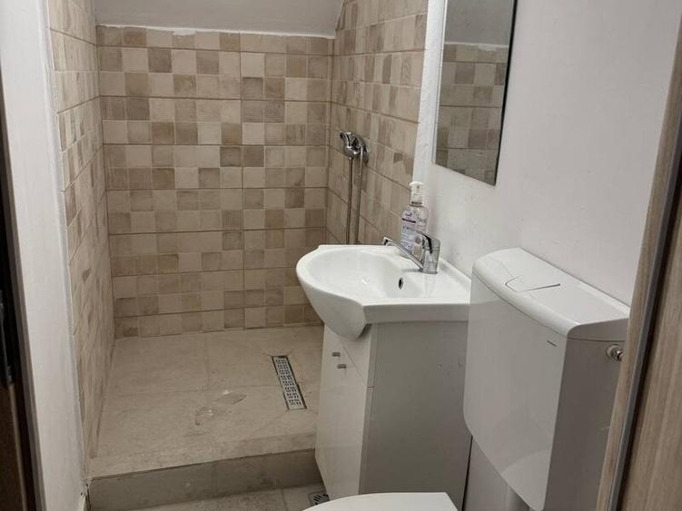 Casă individuală cu 12 camere cu Canalizare în Banu Manta