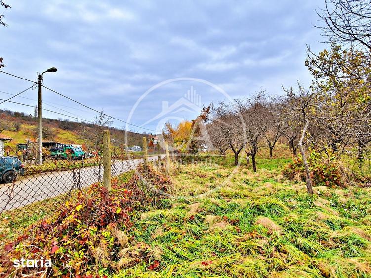 Teren de 1460 mp, în Central