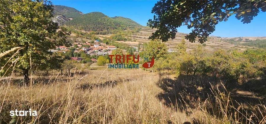 Teren de 4126 mp, în Meteș