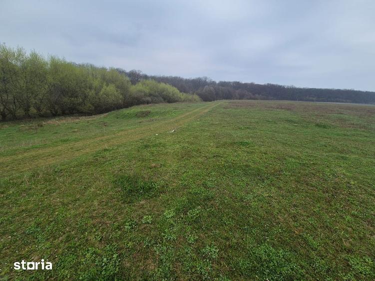 Teren de 2200 mp, în Mitocu Dragomirnei