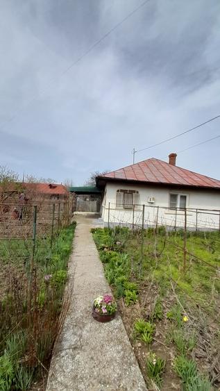 Snagov. Jud. Ilfov - 2