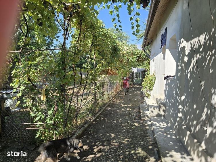 Casă cu 3 camere în Brâncoveanu