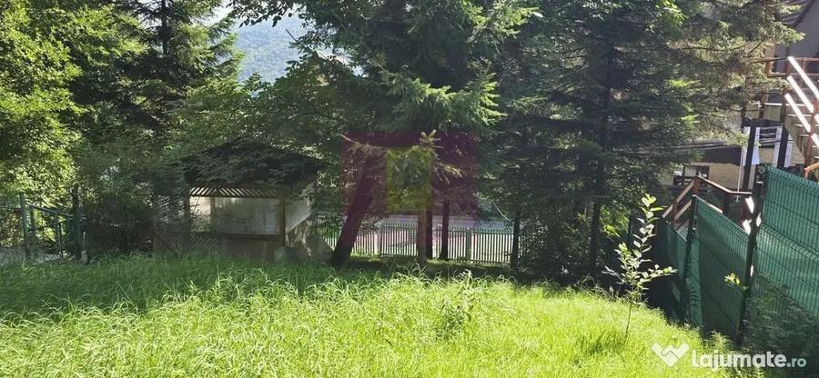 Teren în Furnica