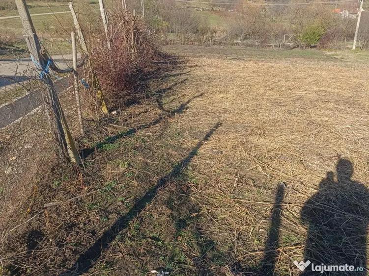 Teren de 800 mp, în Armeni