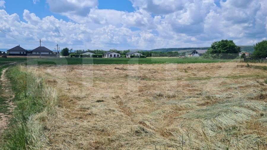 Teren de 3600 mp, în Jucu
